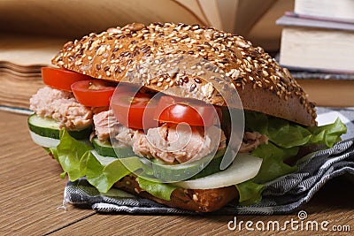School lunch: a sandwich with tuna and vegetables horizontal