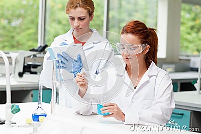 Science students doing an experiment