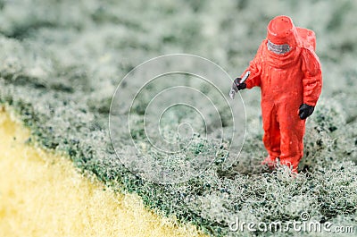 Scientist checking bacterial on the cleaning pad