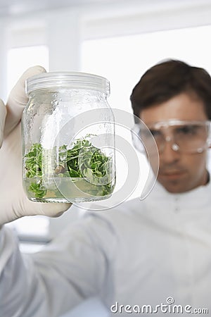 Scientist Examining Jar Of Plant Material