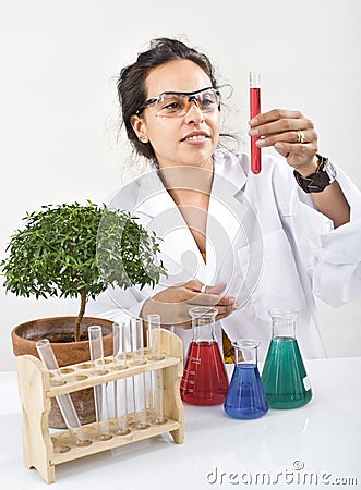 Scientist lab plant