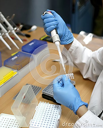 Scientist working at the laboratory