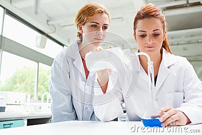 Scientists Doing An Experiment Royalty Free S