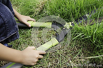 Scissors to cut the grass.