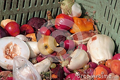 Scraps of rotten fruit and vegetables