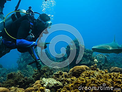 Scuba diver and nurse shark