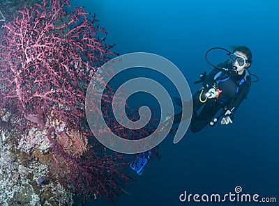 SCUBA Diver and purple sea fan