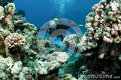 Scuba diver in shallow water