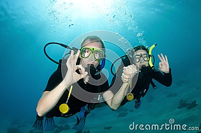 Scuba divers swim together
