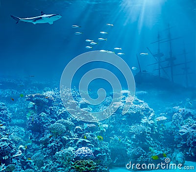 Sea or ocean underwater, shark and sunk treasures
