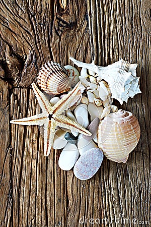 Sea shell, sea stone and starfish collection collection on a wooden table