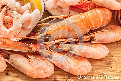 Seafood Platter Prawn and Langoustine Close up