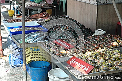 Seafood Shop at Fresh Market