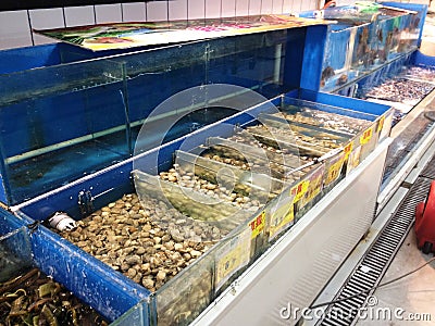 Seafood supermarket