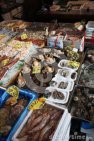Seafood at Tsukiji fish market Tokyo