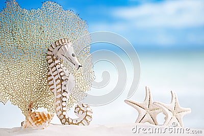 Seahorse with white starfish on white sand beach, ocean, sky an