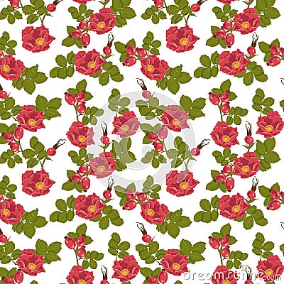 Seamless floral background with wild rose