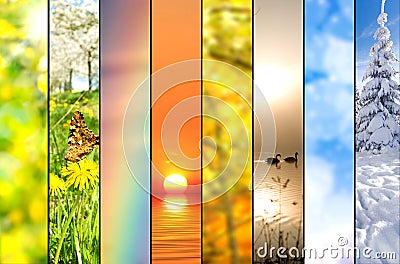 Seasons collage