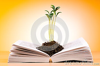 Seedlings growing from book - knowledge concept