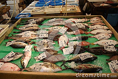 A selection of fish at Tsukiji fish market Tokyo