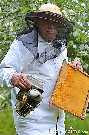 Senior beekeeper making inspection in apiary