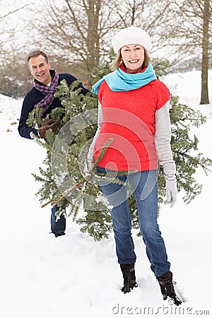 Senior Couple Carrying Christmas Tree In Snow