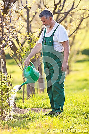Senior gardener in his garden