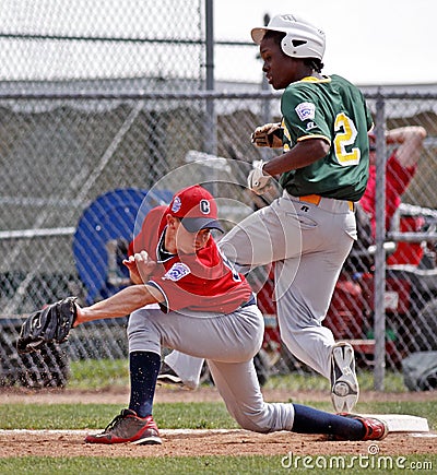 Senior league baseball world series aruba safe