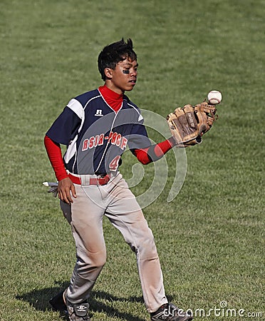 Senior league baseball world series bobble