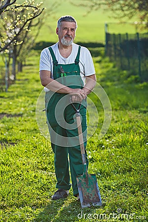 Senior man gardening in his garden