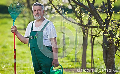 Senior man gardening in his garden