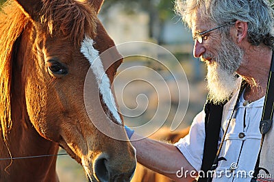 Senior man stroking big horse portrait close up