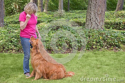 Senior woman training dog to sit