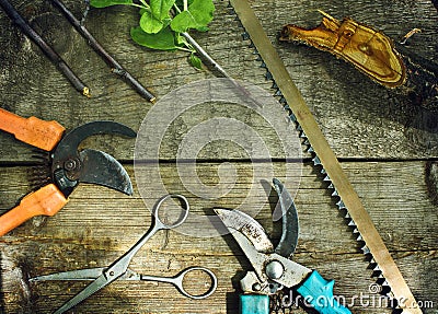 Set of garden tools.