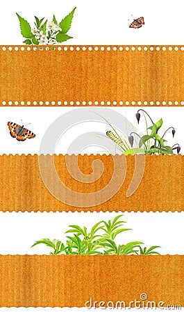 Set of nature banners