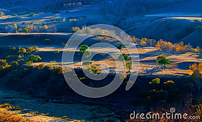 The setting sun exposure under the flock