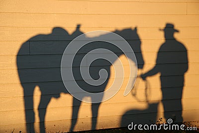 Shadow With Dog and Horse