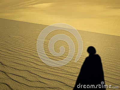 Shadow projected on desert dune