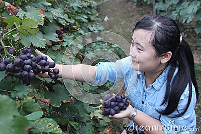 Shandong rizhao ：rural tourism is getting more pupular
