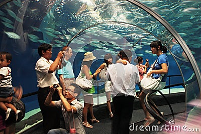 Shanghai Ocean Aquarium