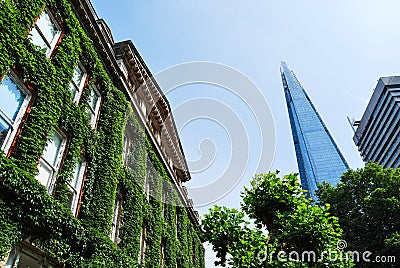 The Shard of Glass seen from Guy s Hospital s ivy-clad building