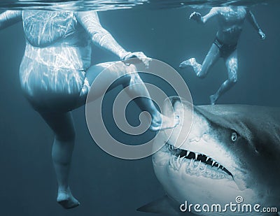 Shark attack.