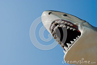 Shark bite sculpture