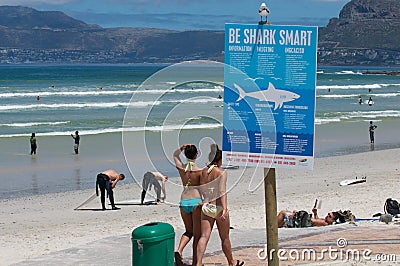 Shark Warning Bikini Girls