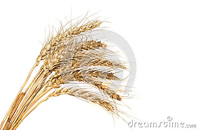 Sheaf Of Weat Stock Photos - Image: 