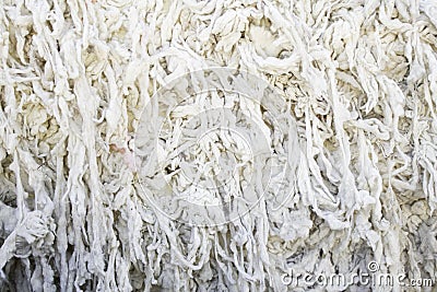 Sheep wool knotted
