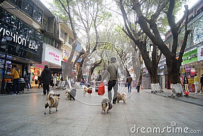 Shenzhen, China: the old man and the dog