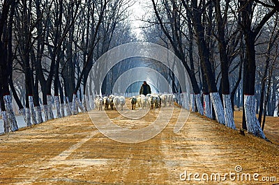 Country Road Under The Sky Royalty Free Stoc