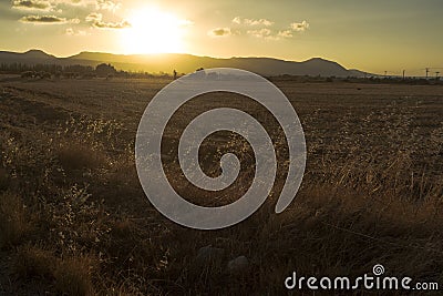 Shepherd and sheep, herd silhouettes