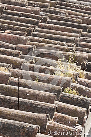 Shingles on the roof